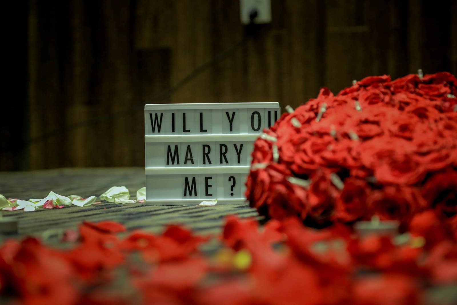 Surprise Marriage Proposal · Catania — 4